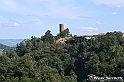 VBS_4728 - Il bosco fatato - Montaldo Roero